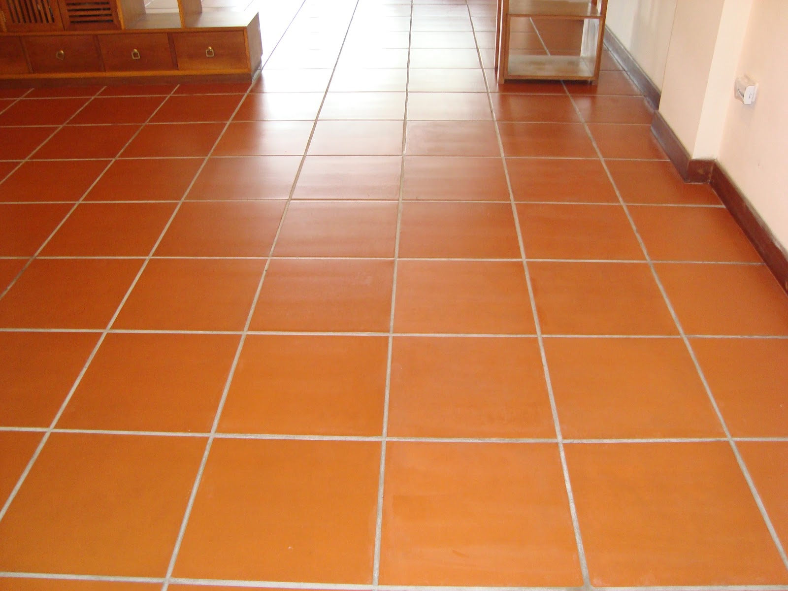 Với những mẹo vệ sinh sàn gạch đỏ đúng cách, bạn sẽ bảo đảm sạch sẽ và bền đẹp cho chiếc lát gạch đẹp nhà bạn. Đừng bỏ lỡ những hình ảnh hướng dẫn cách làm sạch đúng cách.